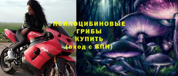 винт Абаза